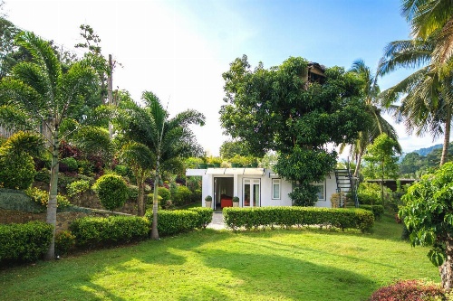 Organic Villa image 1