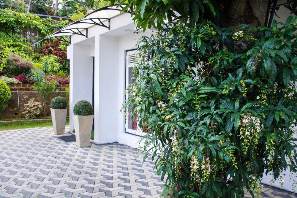 Organic Villa Main image