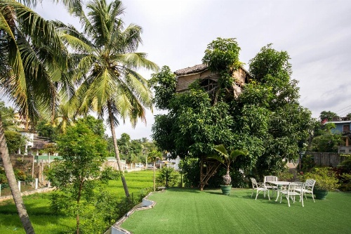 Organic Villa image 20