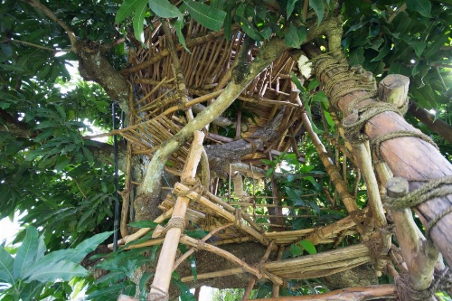 Organic Villa image 21