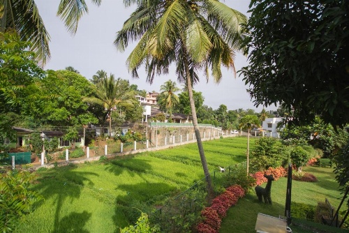 Organic Villa image 22