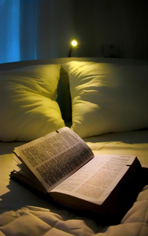 Organic Villa image 24