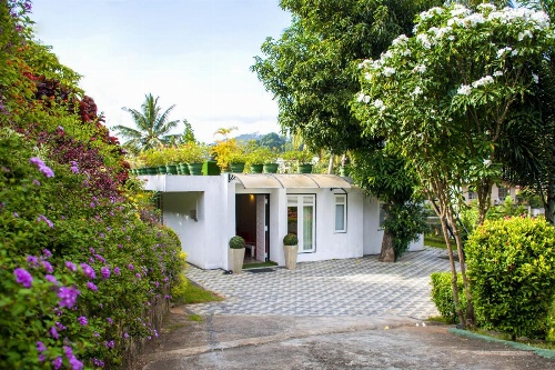 Organic Villa image 3