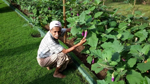 Organic Villa image 30