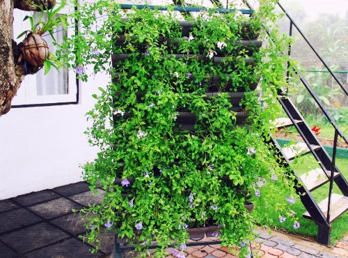 Organic Villa image 33