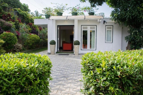 Organic Villa image 5