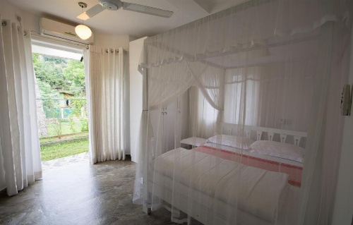 Organic Villa image 7